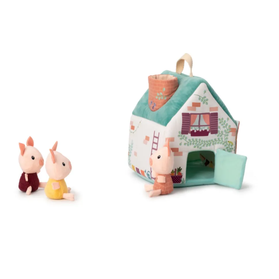 La maison du loup et des 3 petits cochons