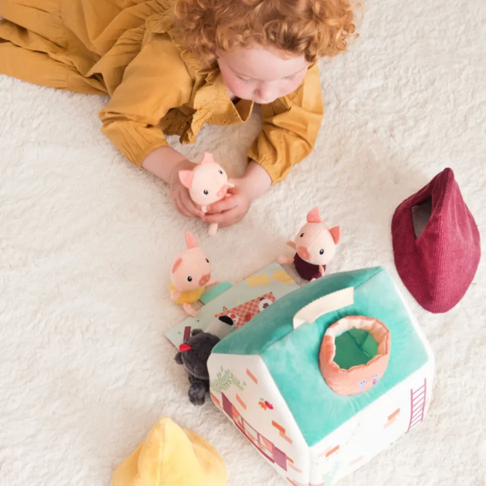 La maison du loup et des 3 petits cochons