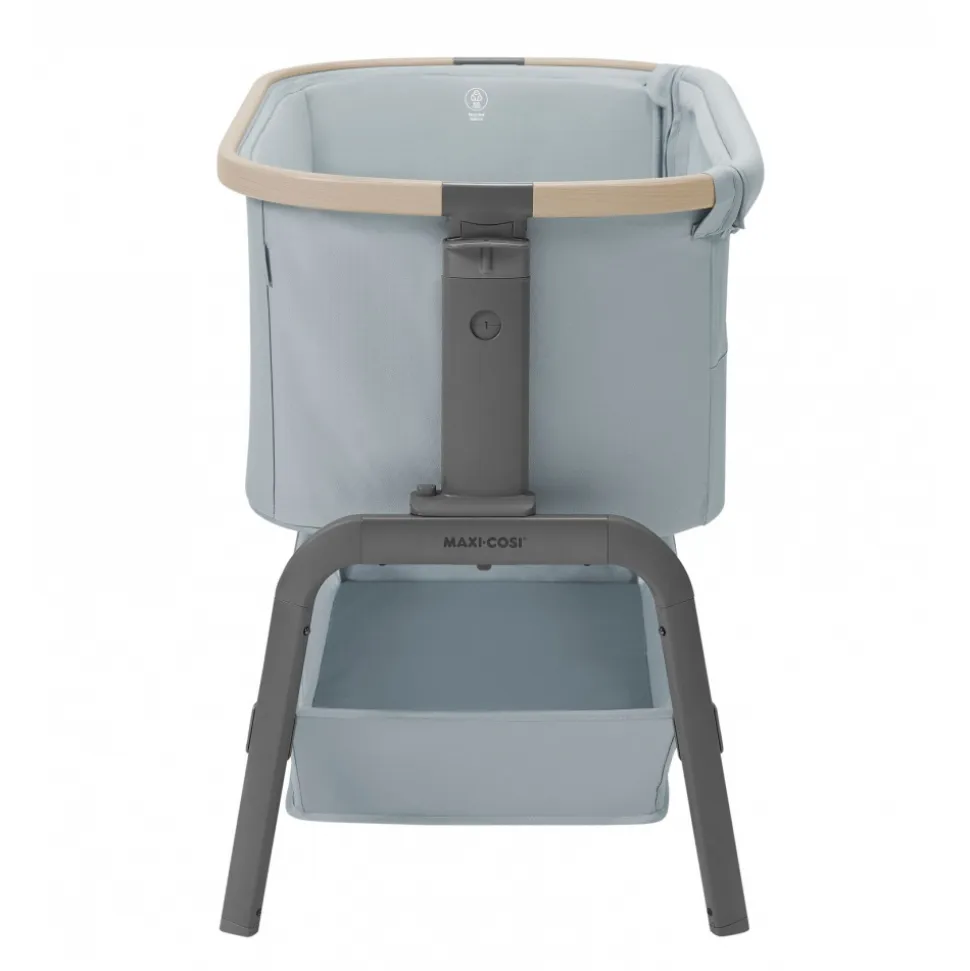 Lit cododo iora beyond grey