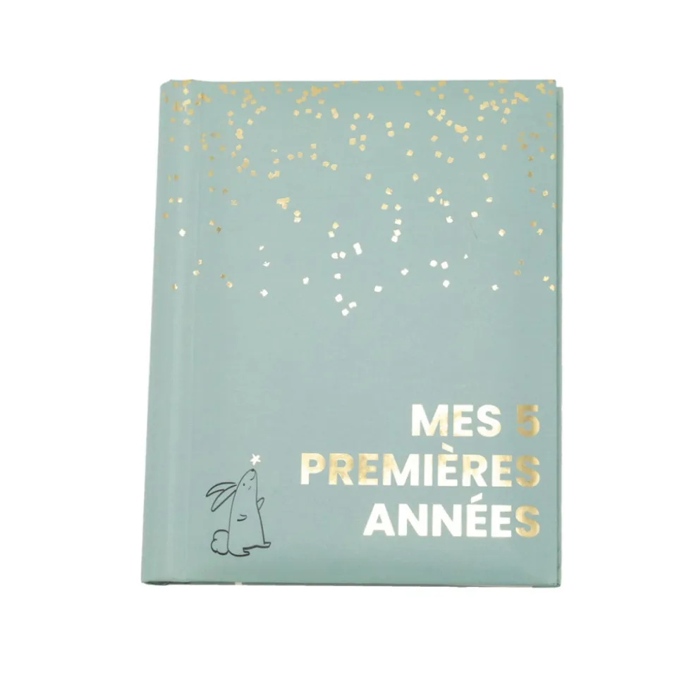 Livre de naissance mes 5 premières années sauge gold