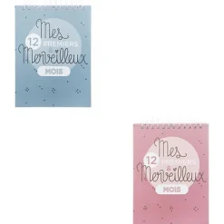 Livre de naissance 100 pages