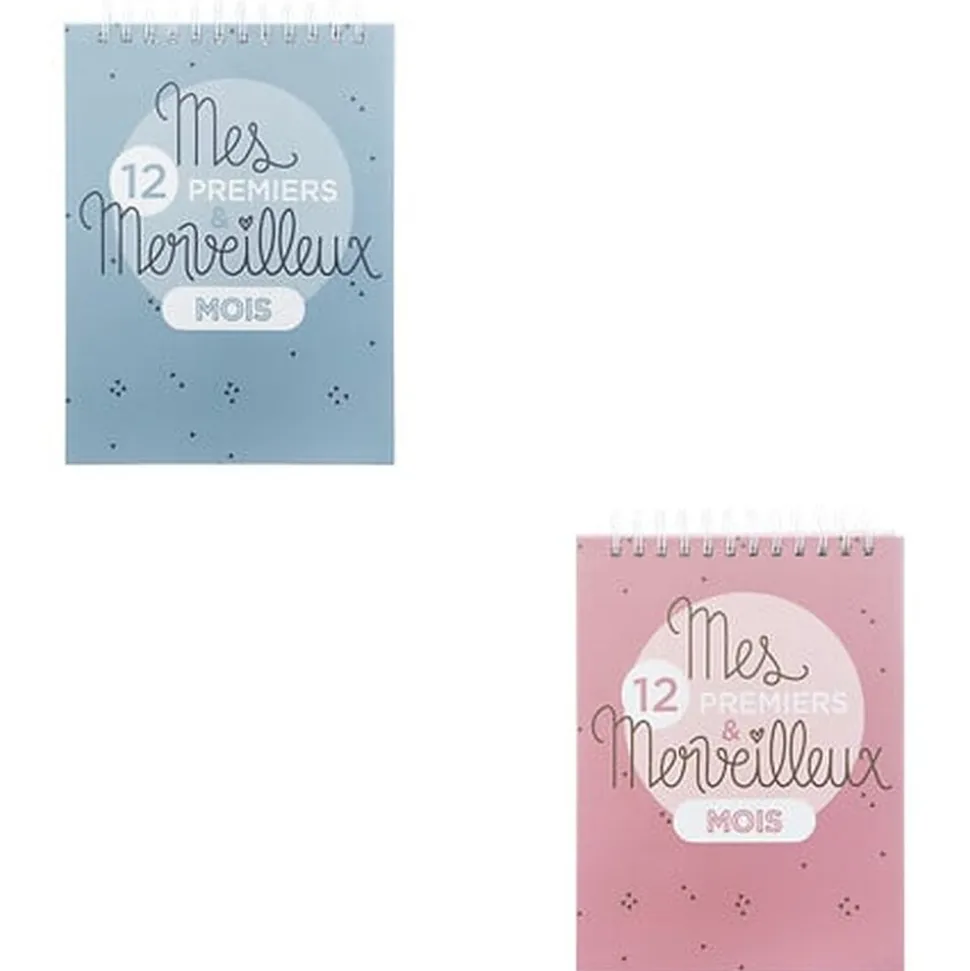 Livre de naissance 100 pages