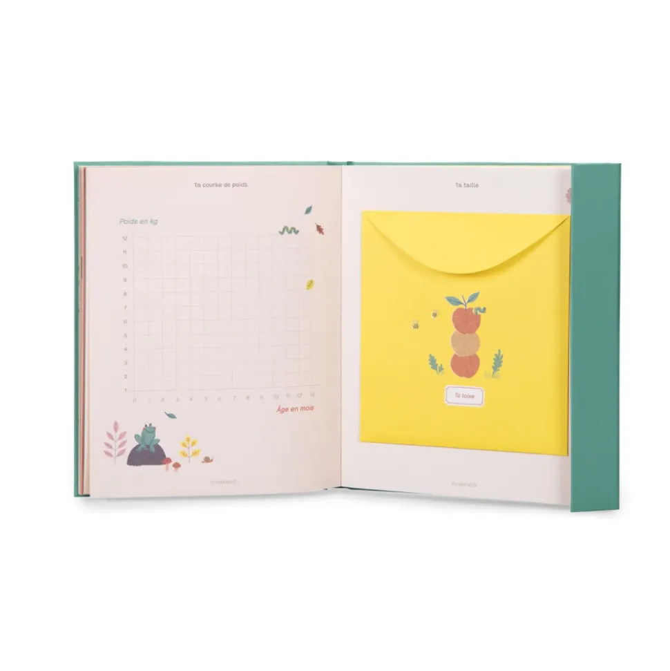 Livre de naissance pomme des bois