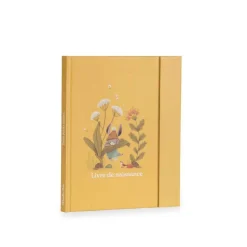 Livre de naissance trois petits lapins