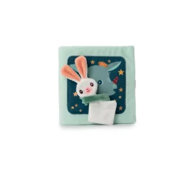 Livre pour enfant joe et son doudou