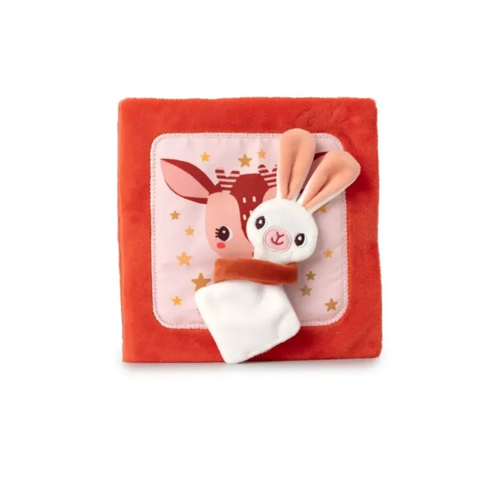 Livre pour enfant stella et son doudou