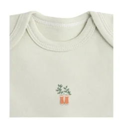 Lot de 3 bodies 3 mois manches courtes botanica