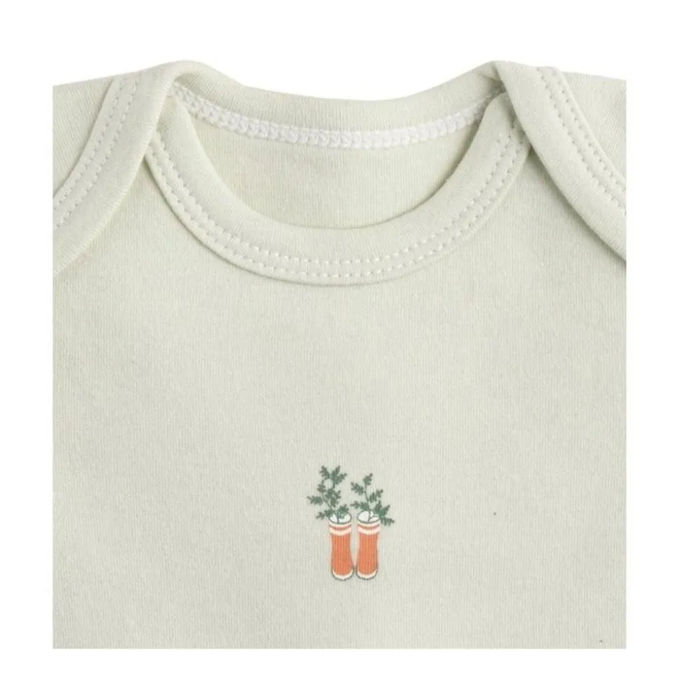 Lot de 3 bodies 6 mois manches courtes botanica