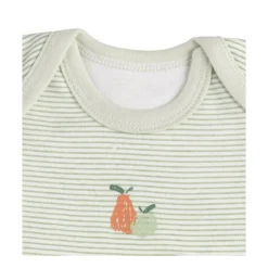 Lot de 3 bodies 6 mois manches courtes botanica
