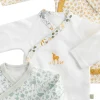 Lot de 3 bodies naissance promenons nous