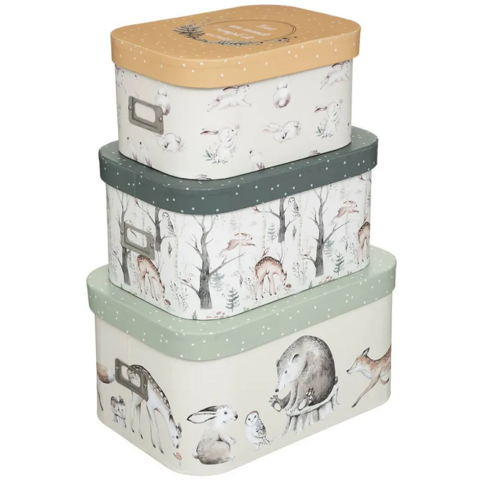 Lot de 3 boîtes de rangement forêt