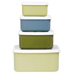 Lot de 4 boîtes à goûter dinosaures