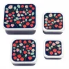 Lot de 4 boîtes à goûter fraises