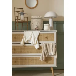 Lot de 2 corbeilles de rangement - jardin enchanté
