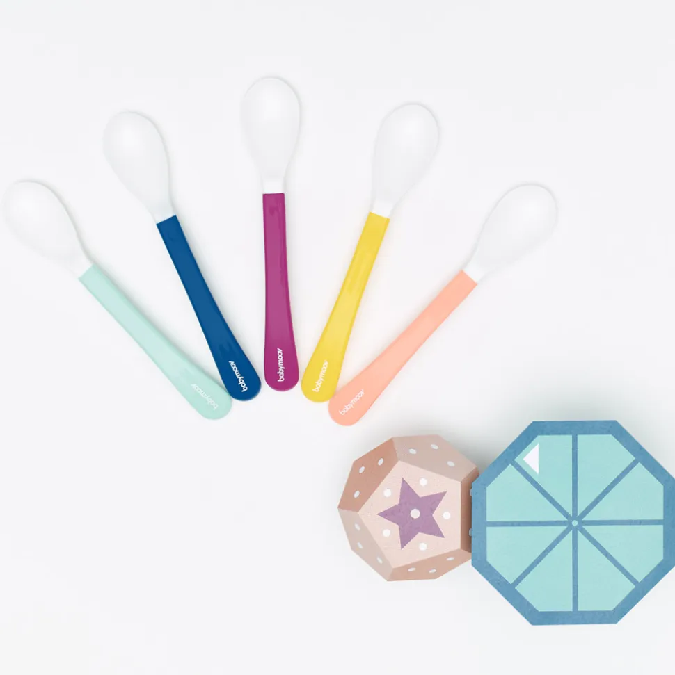 Lot de 5 cuillères 2ème âge multicolores