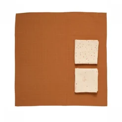 Lot de 3 langes coton bio 70 x 70 orsino