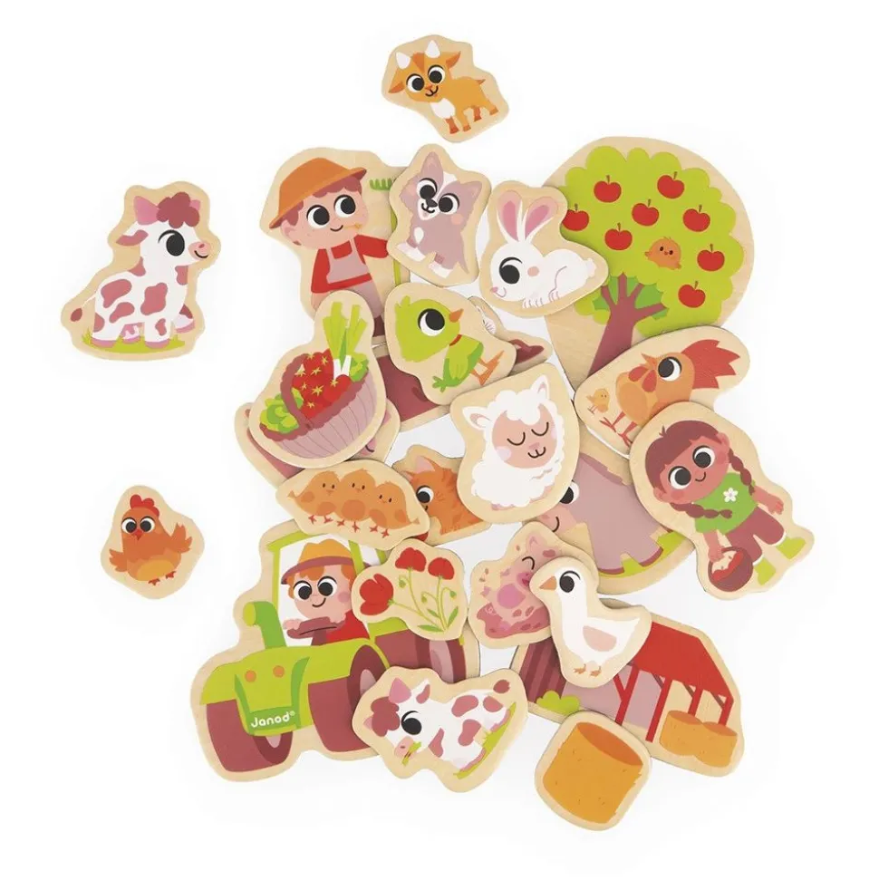 Lot de 24 magnets ferme