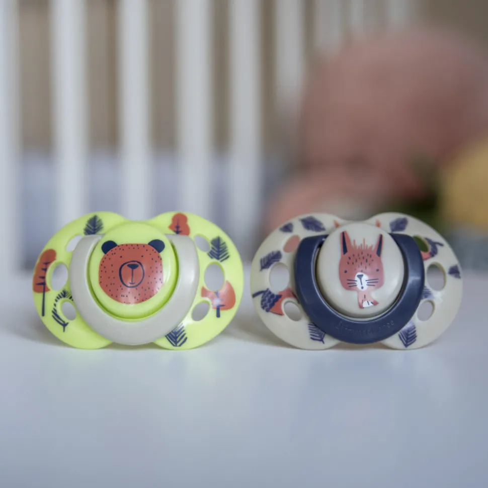 Lot de 2 sucettes closer to nature fun 6-18m