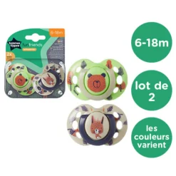 Lot de 2 sucettes closer to nature fun 6-18m