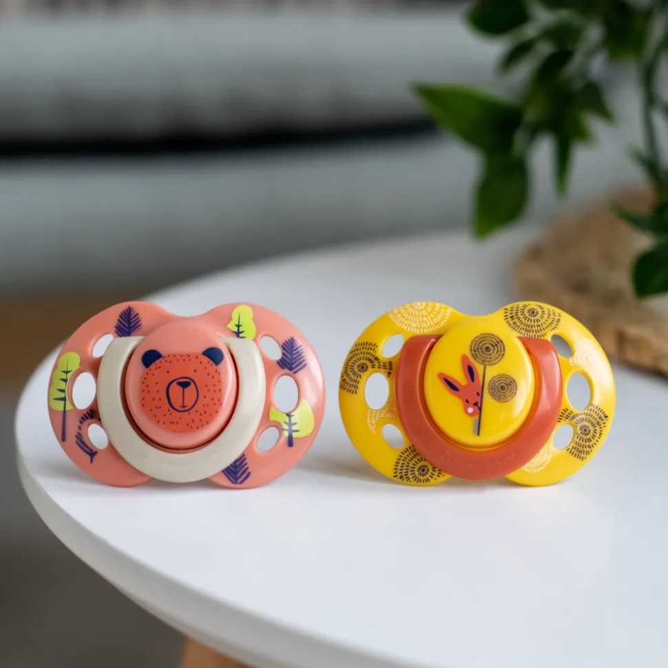 Lot de 2 sucettes closer to nature fun 6-18m