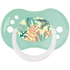 Lot de 3 sucettes jour / nuit silicone 18-36m mixte