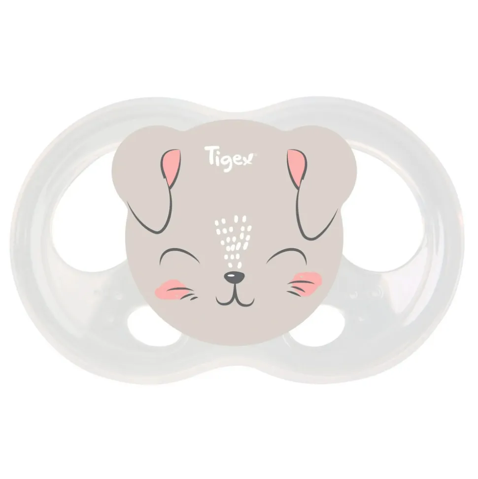 Lot de 2 sucettes soft mini physio 0-6 m ourson et chat