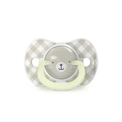 Lot de 2 sucettes symétriques sx pro wild&free 6-18 mois gris