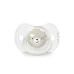 Lot de 2 sucettes symétriques sx pro wild&free 0-6 mois gris