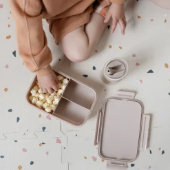 Lunch box en plastique recyclé taupe myrtille