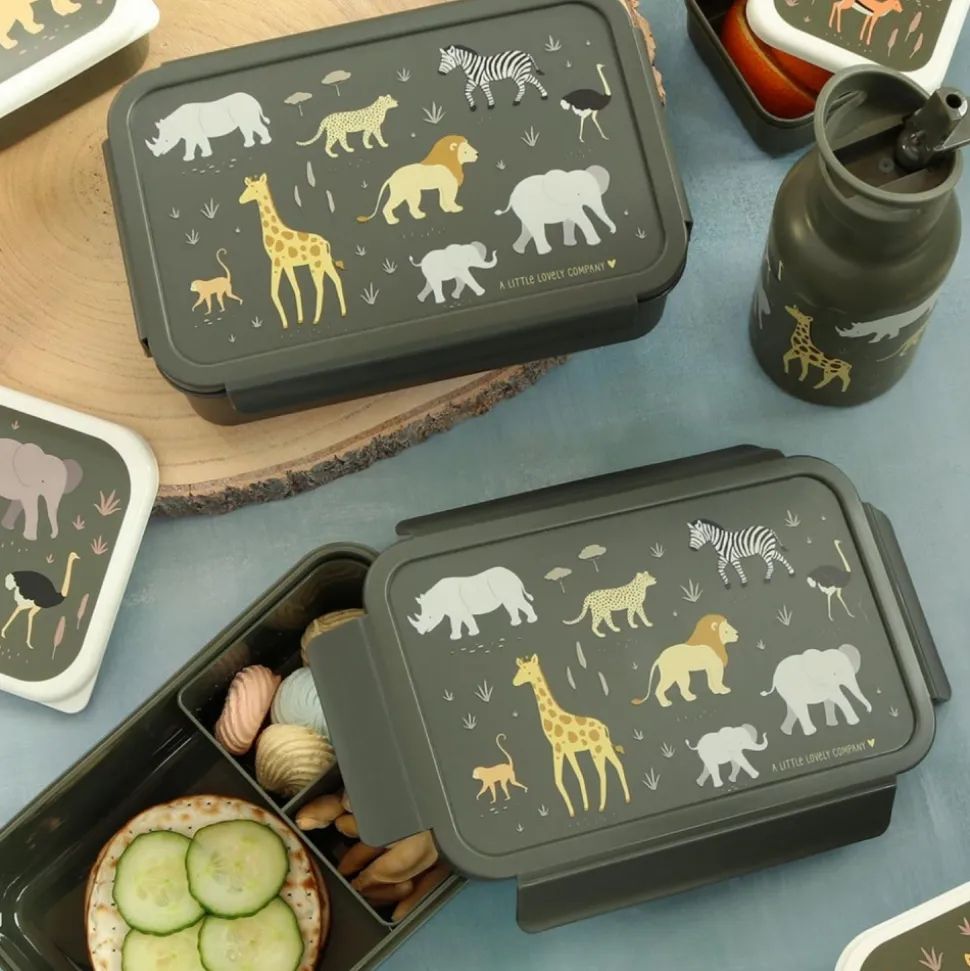 Lunch box savane
