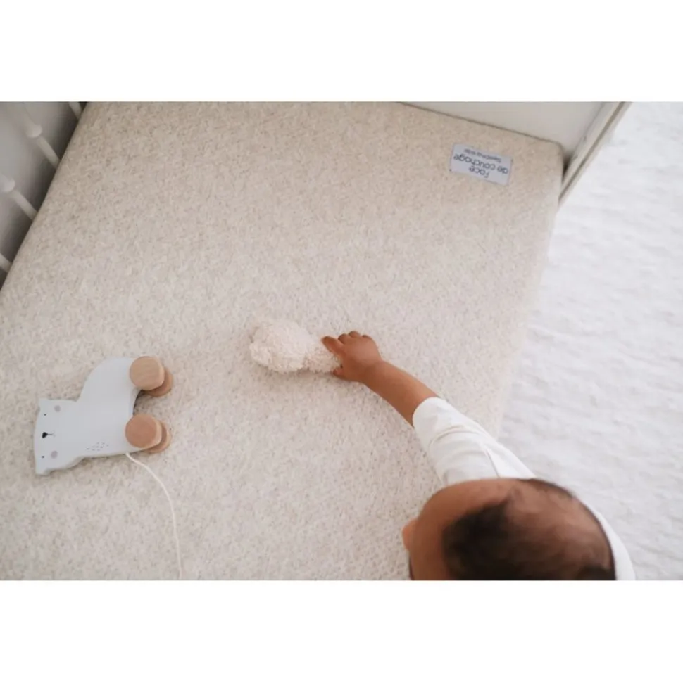 Matelas bébé 60 x 120 cm coco