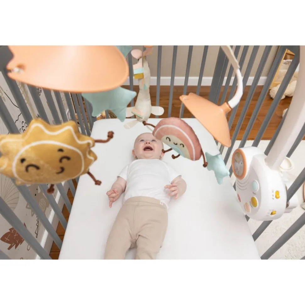 Mobile musical licorne