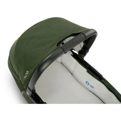 Nacelle demi grow evergreen