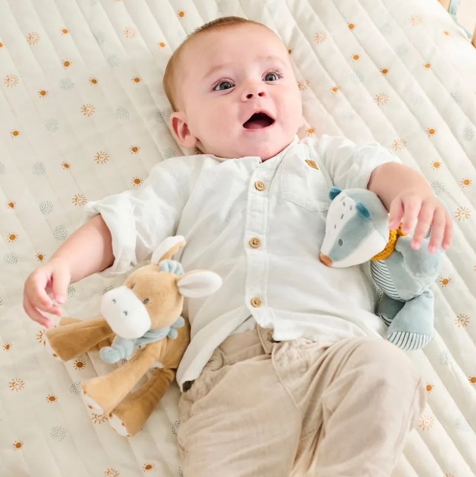 Peluche felix le blaireau