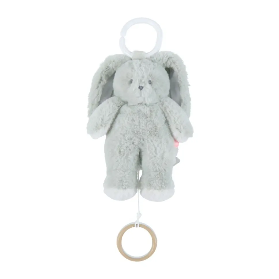 Peluche mini-musicale 20cm - verdi