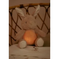 Peluche musicale et lumineuse lapin - newborn