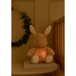 Peluche musicale et lumineuse lapin - newborn