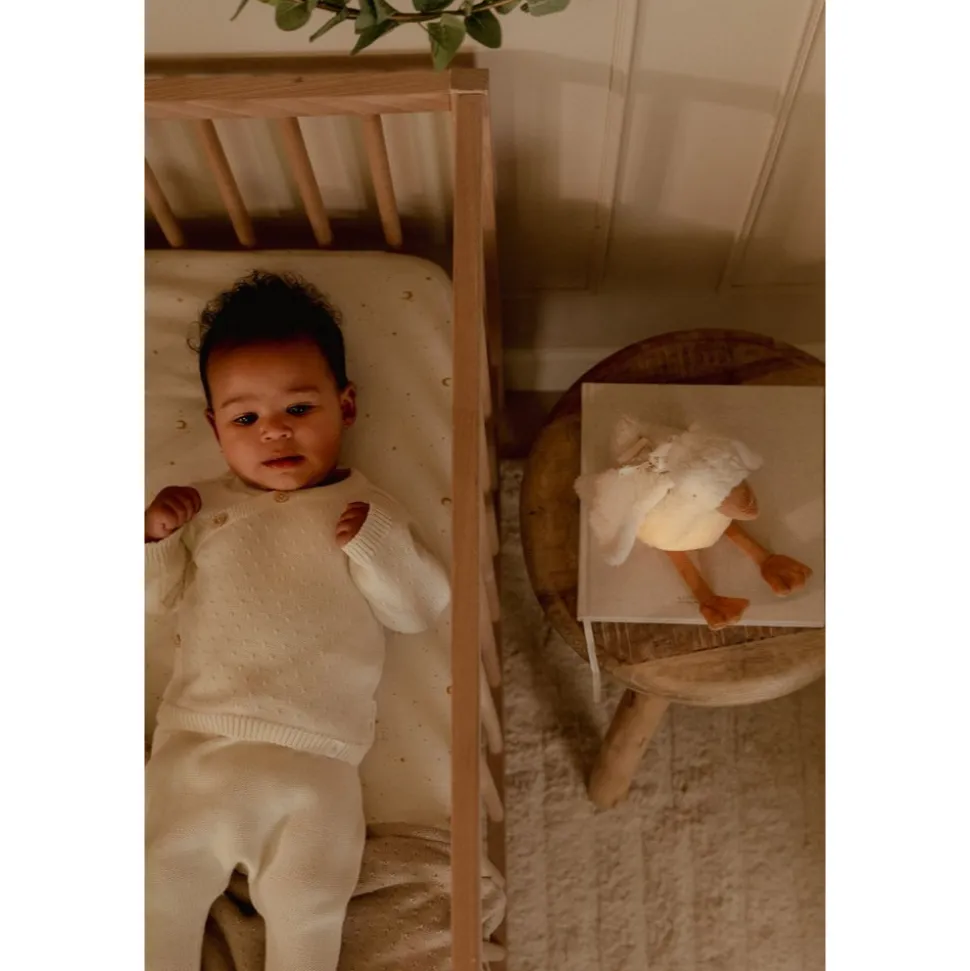 Peluche musicale et lumineuse oie - newborn
