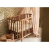 Peluche musicale teddy bear wild rose