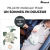 Peluche musicale tortue