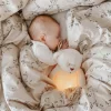 Peluche veilleuse ours crème