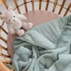 Plaid bébé vert sauge