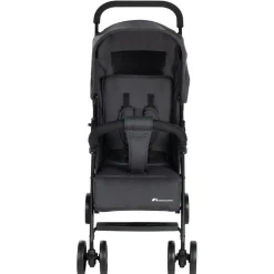 Poussette canne foggy mineral graphite
