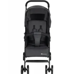 Poussette canne foggy mineral graphite