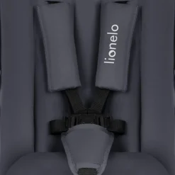Poussette duo amber + nacelle grey graphite