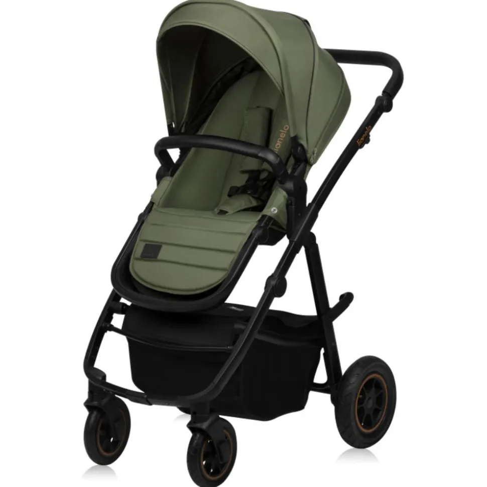 Poussette duo amber + nacelle green forest