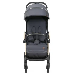 Poussette duo goody xplus - dark shadow + siège auto first seat recline i-size black satin