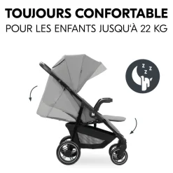 Poussette 4 roues shop n care grey