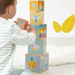 Pyramide à empiler 6 cubes pure
