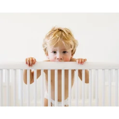 Rails de protection pour les dents 3cm